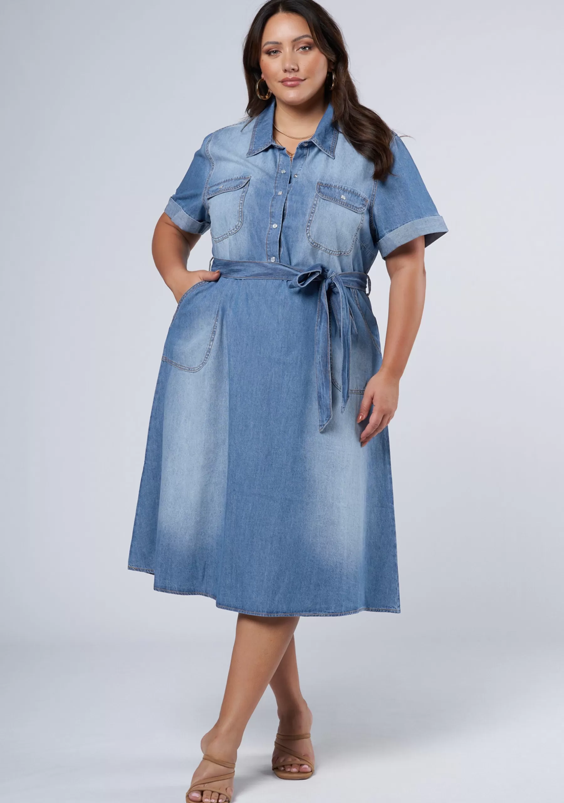 Curve Project Denim | Midi Dresses>Ari Denim Midi Dress