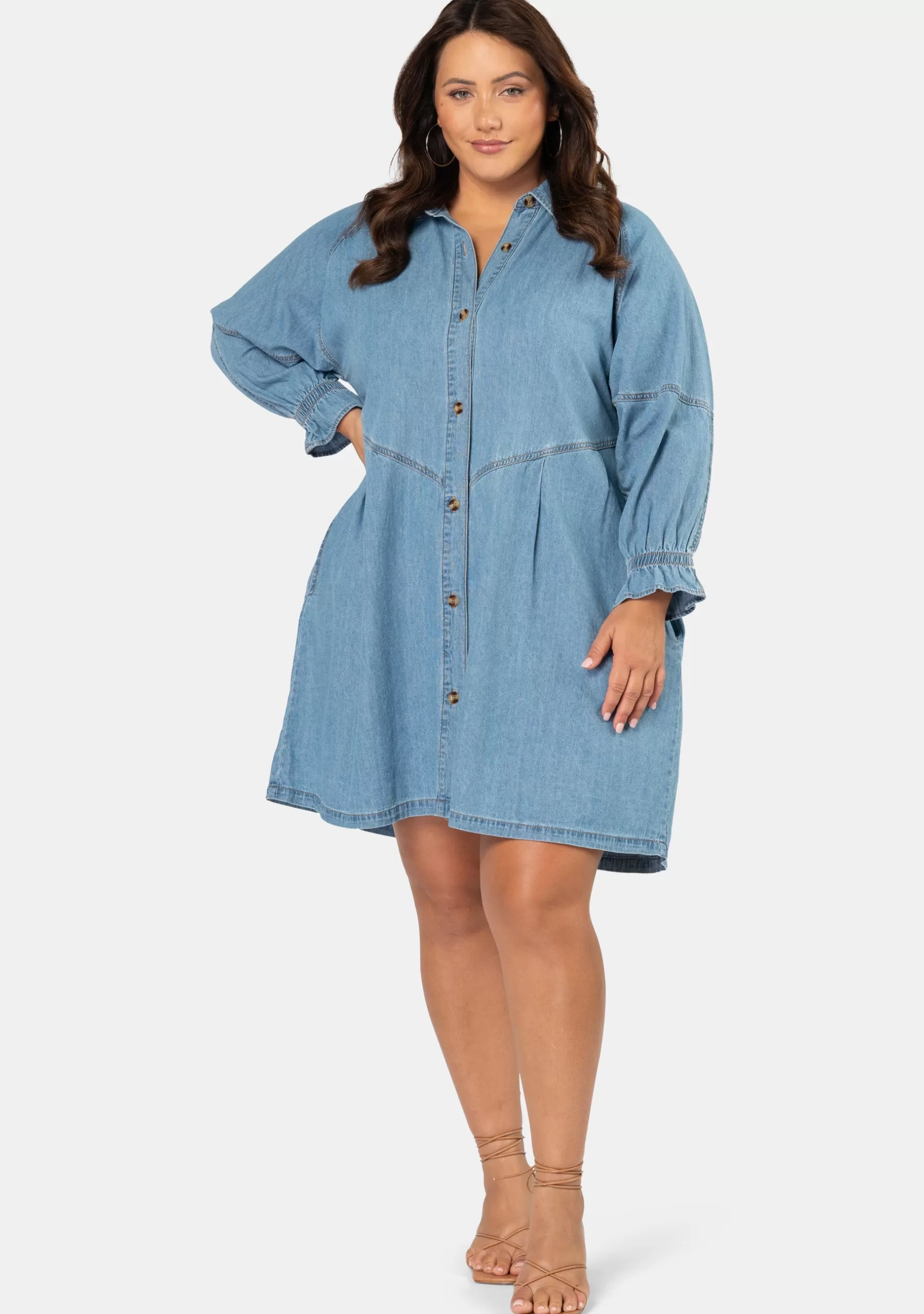 Curve Project Denim | Mini Dresses>Mina Denim Mini Dress