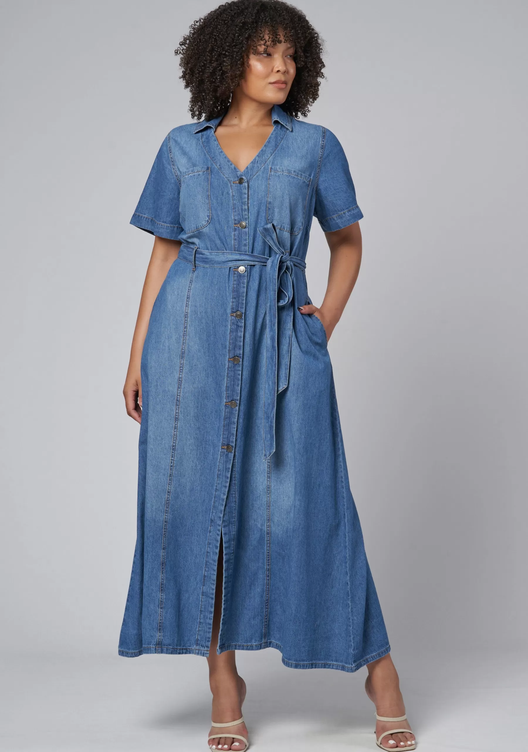 Curve Project Denim | Maxi Dresses>Naomi Chambray Maxi Dress