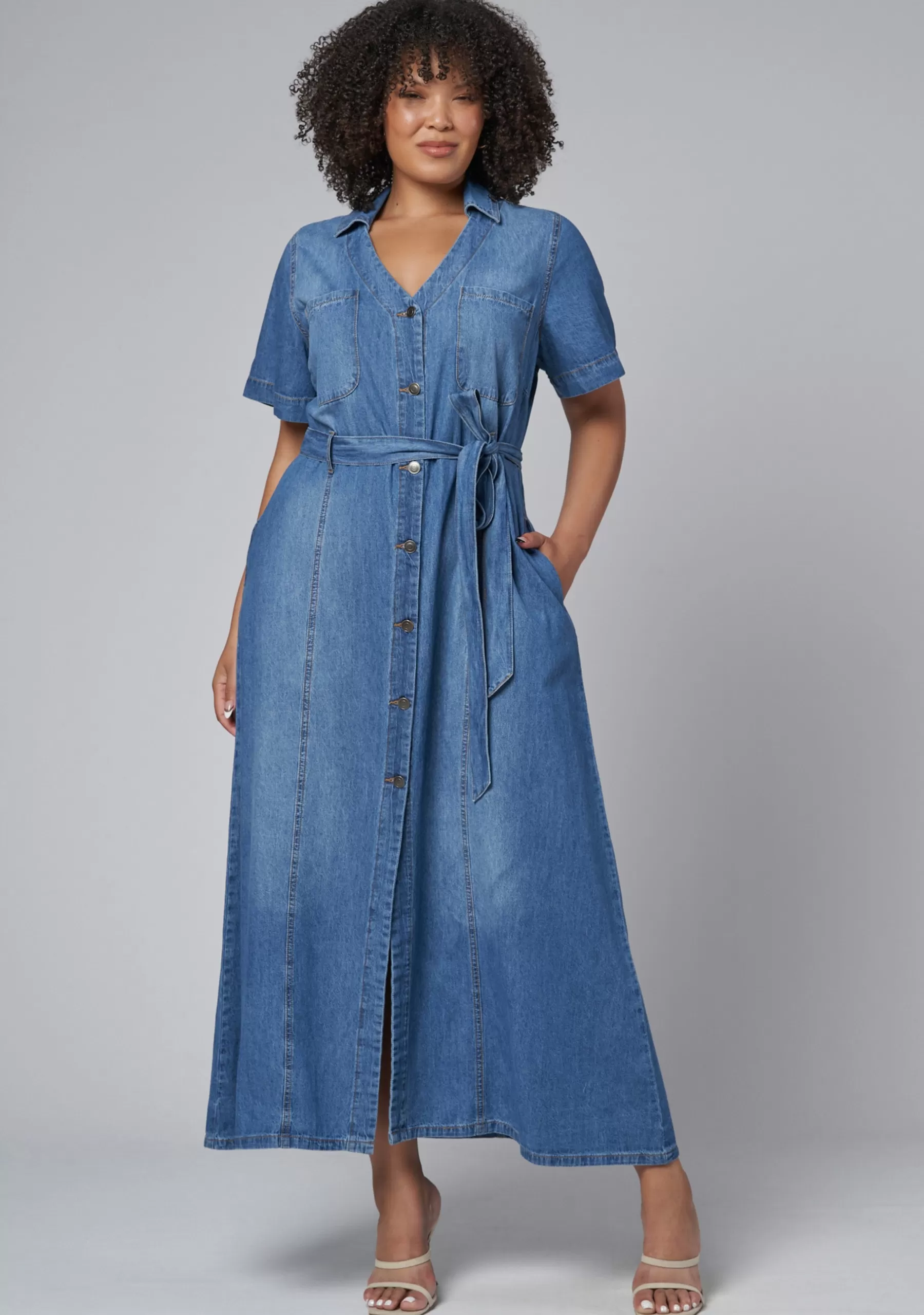 Curve Project Denim | Maxi Dresses>Naomi Chambray Maxi Dress