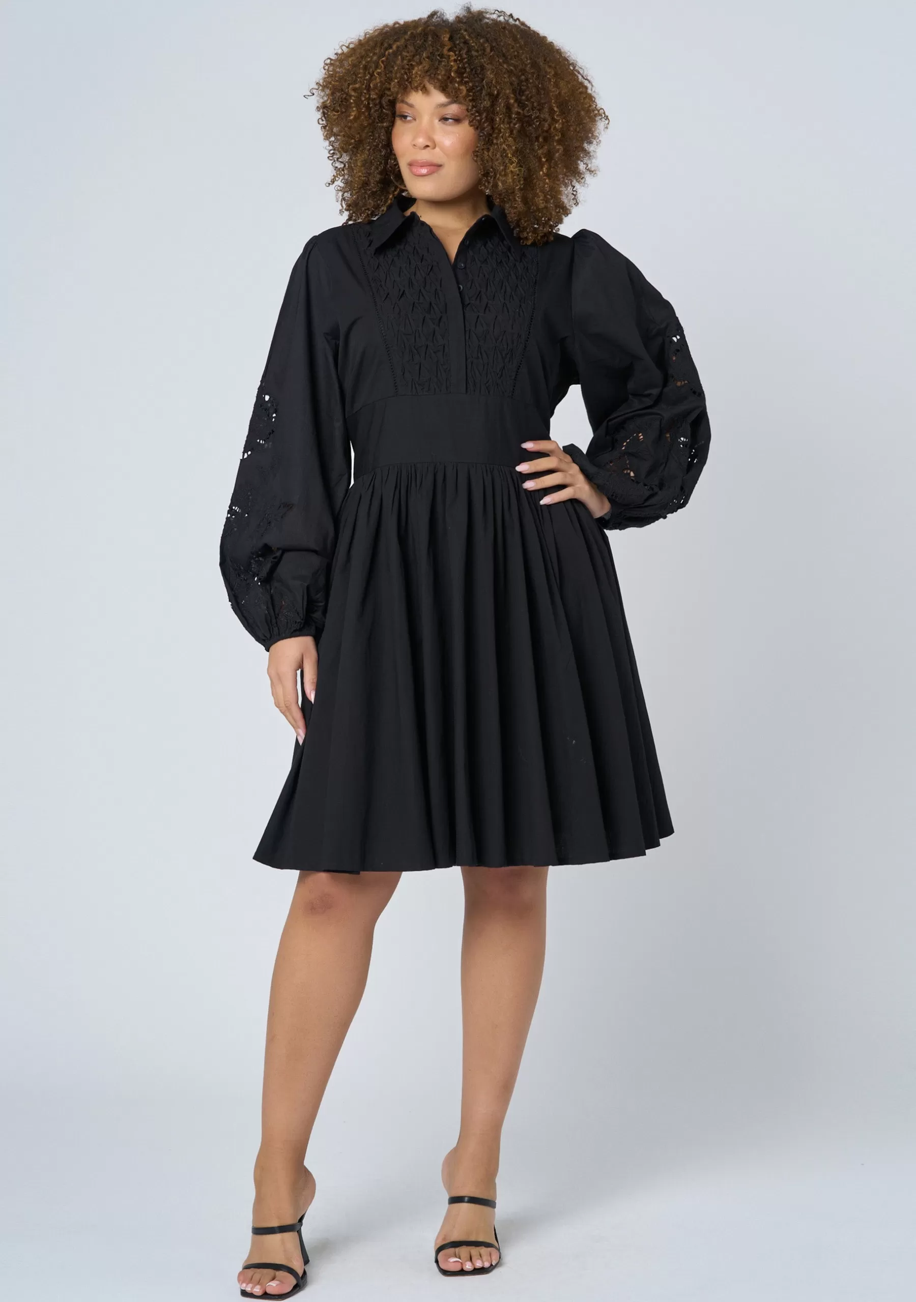 Curve Project Black Dresses | Mini Dresses>Vivian Broderie Mini Dress